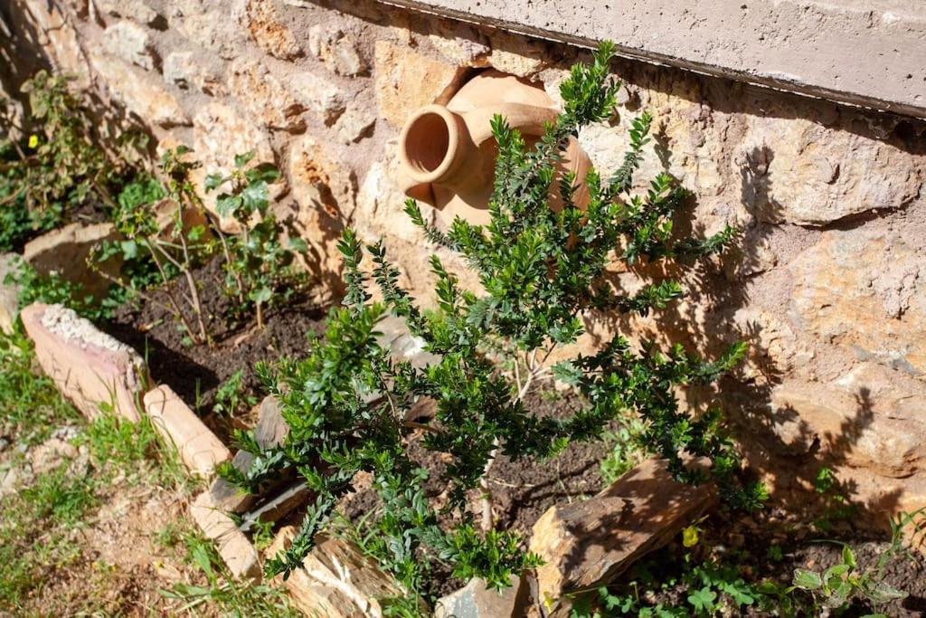 Chania Paradise Retreat Rodhopos ภายนอก รูปภาพ