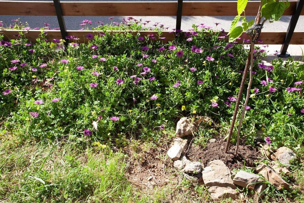 Chania Paradise Retreat Rodhopos ภายนอก รูปภาพ